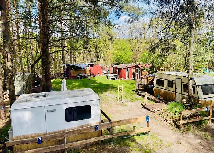 Waldcamp Mit Kleinen Huetten Und Caravans In Cottbus Natur Pur