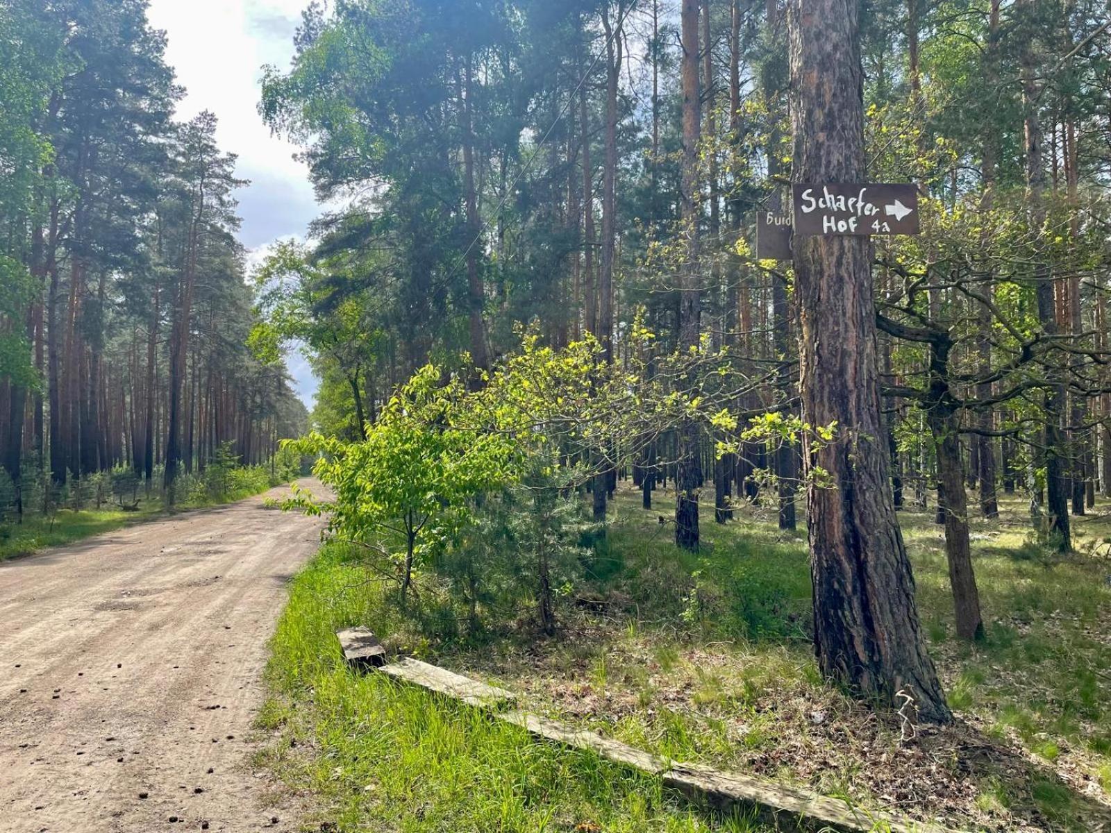 Waldcamp Mit Kleinen Huetten Und Caravans In Pur Campsite *