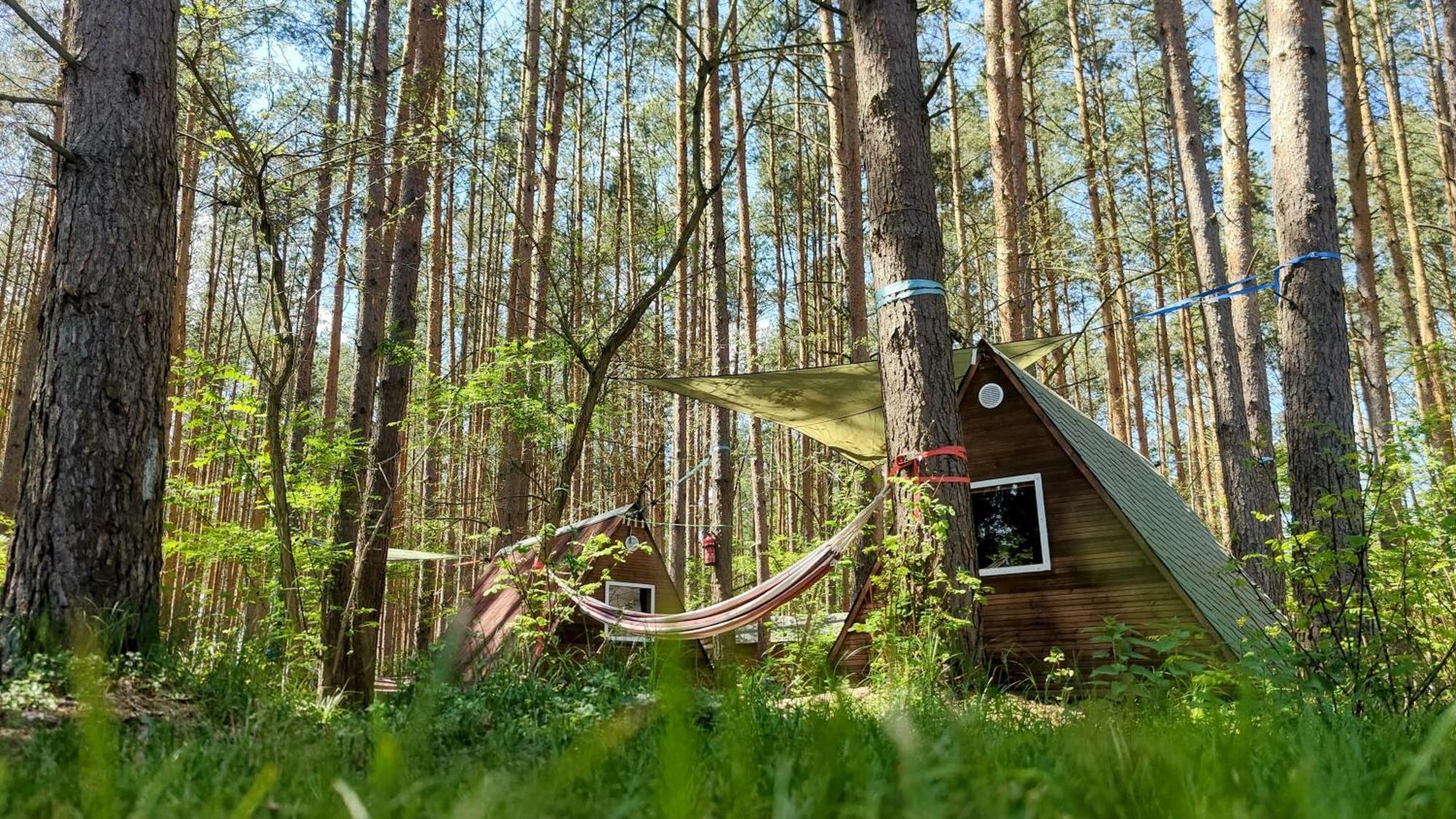 Campsite Waldcamp Mit Kleinen Huetten Und Caravans In Pur Cottbus