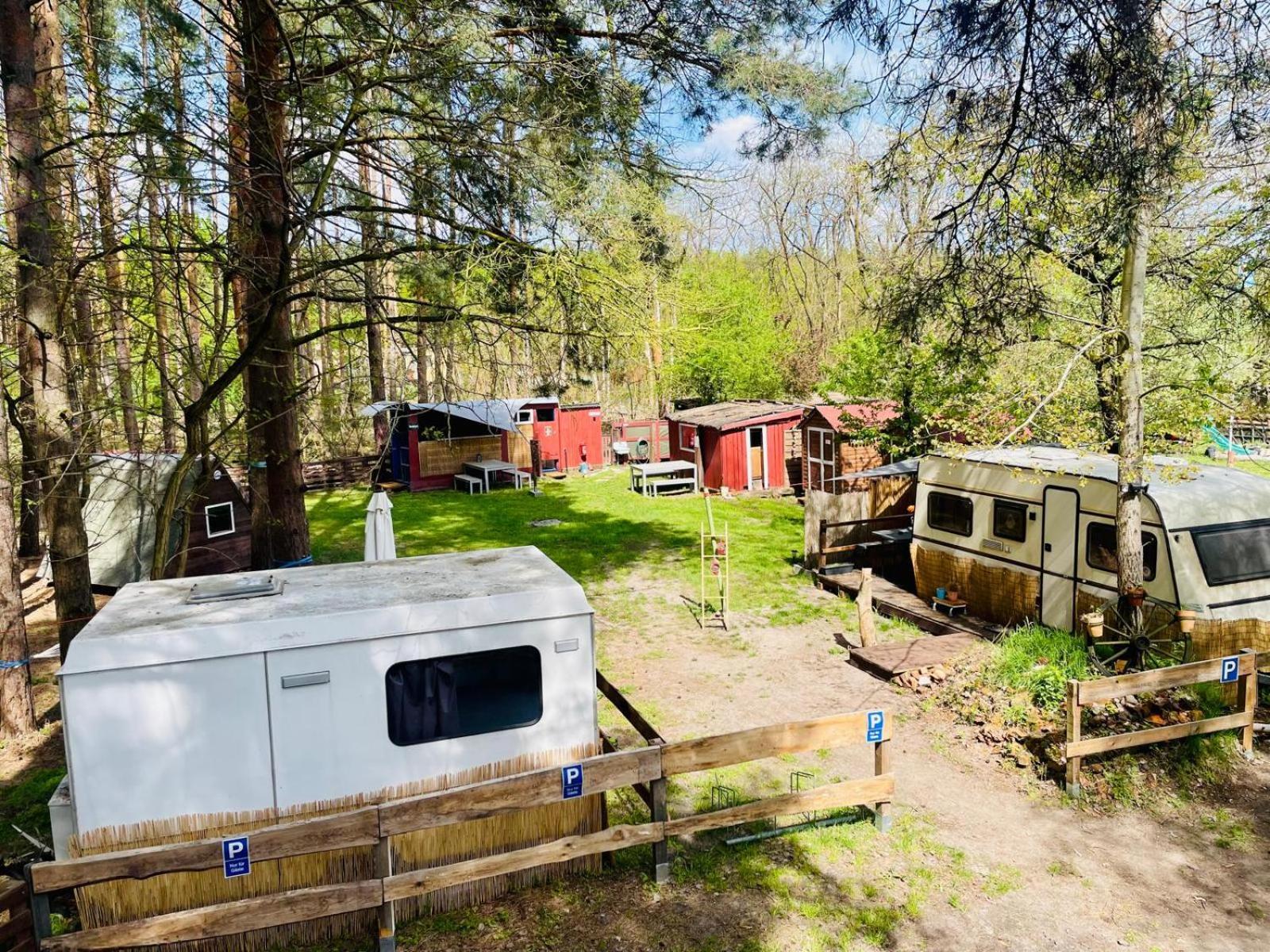 Waldcamp Mit Kleinen Huetten Und Caravans In Pur Campsite *