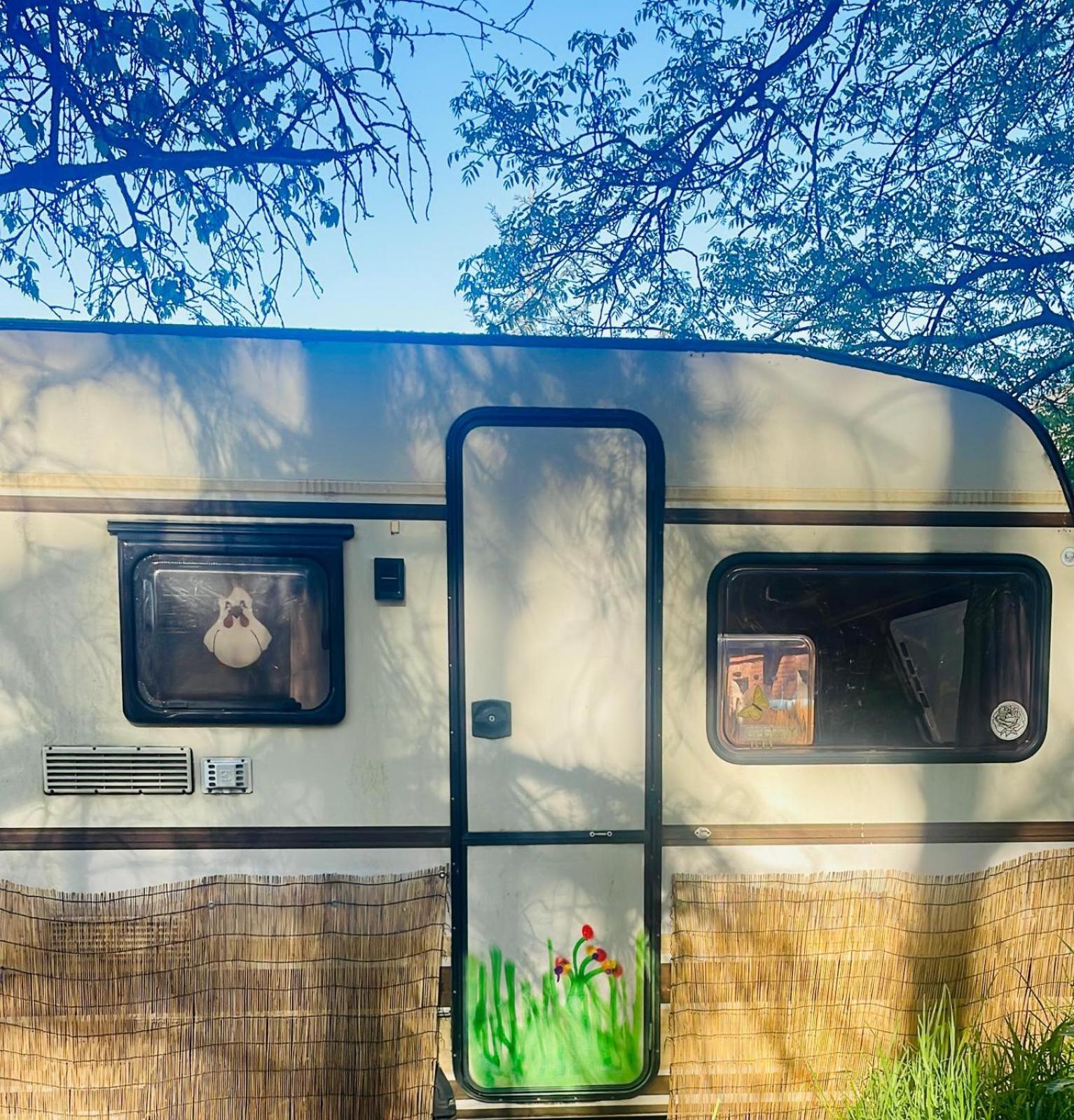 Waldcamp Mit Kleinen Huetten Und Caravans In Pur *