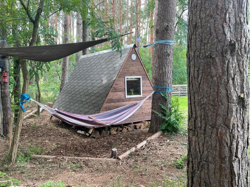 Waldcamp Mit Kleinen Huetten Und Caravans In Pur Campingplatz *